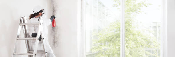 Best Air Quality Testing for Mold Spores  in Cuero, TX