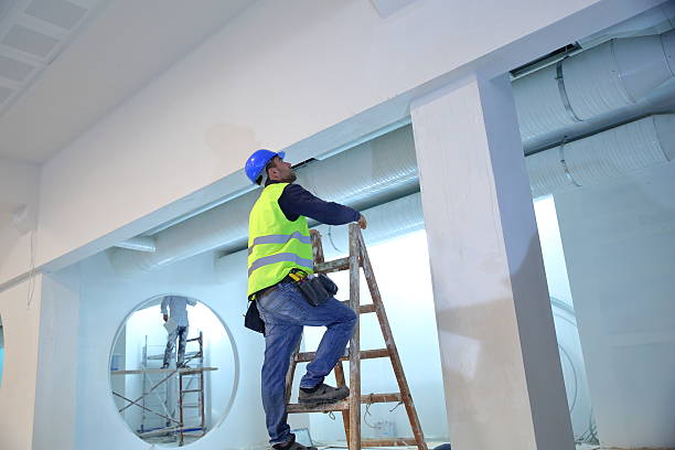 Best Emergency Mold Remediation  in Cuero, TX